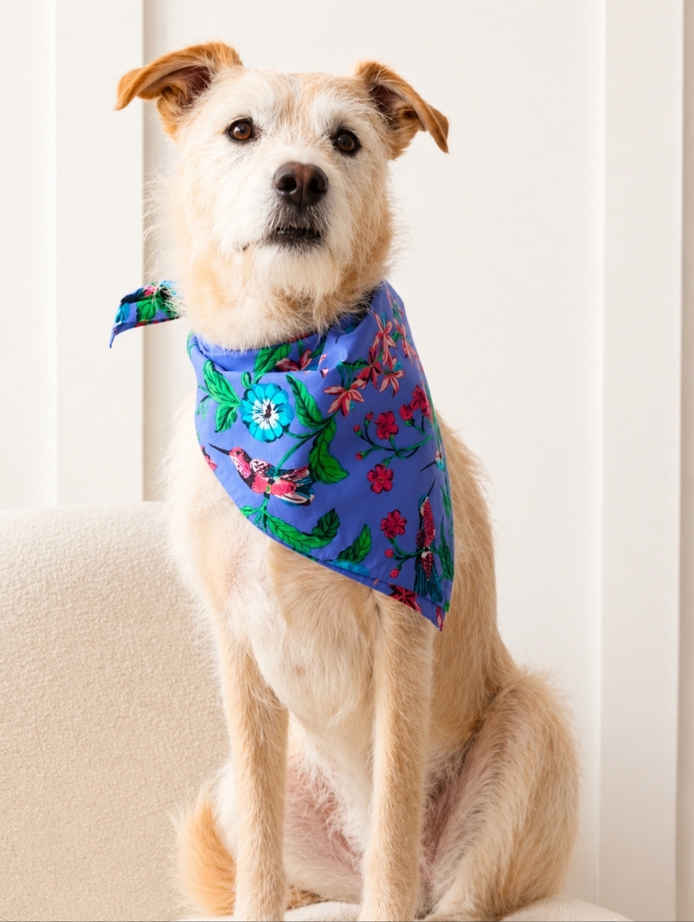 Printfresh Hummingbird Haven - Pet Bandana - Crocus Medium